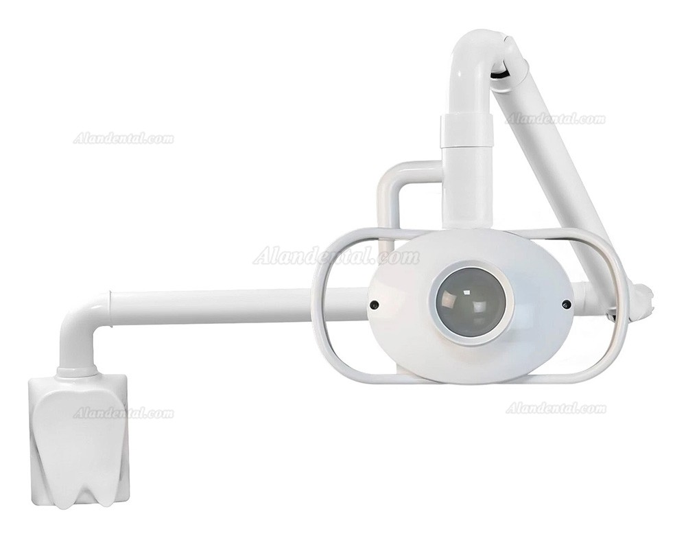 Dental Otolaryngology ENT Examination Lamp (Wall-Mounted) With Arm